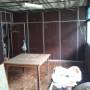 img_20131019_140751.jpg